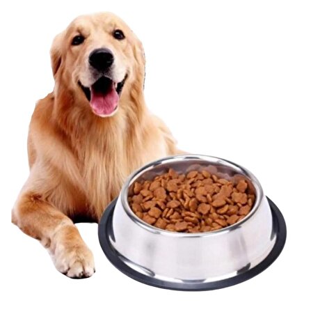 BUFFER® 20 Cm Evcil Hayvanın  Rahat Beslenebilmesi için Paslanmaz Çelik Metal Kullan